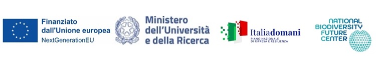 Progetti