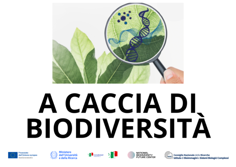 A caccia di biodiversità